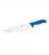 Coltello cucina