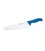 Coltello cucina
