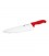 Coltello cucina