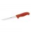 Coltello disosso
