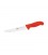 Coltello disosso