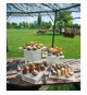 Display per buffet