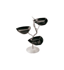 Display per buffet
