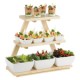 Display per buffet