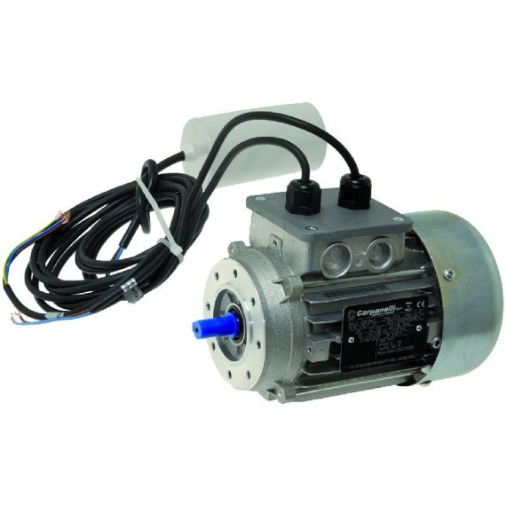 MOTORE CARPANELLI MDE56b2 B14
