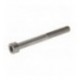 VITE A TESTA CILINDRICA M6x55
