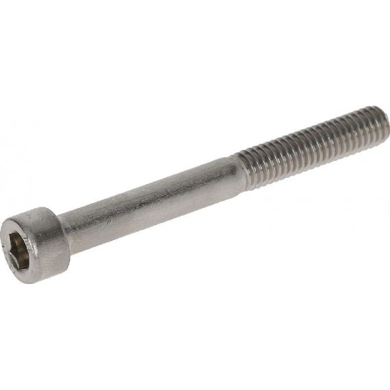 VITE A TESTA CILINDRICA M6x55