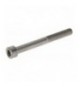 VITE A TESTA CILINDRICA M6x55