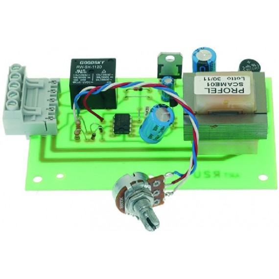SCHEDA ELETTRONICA 100x60 mm