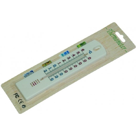 TERMOMETRO A PARETE -20+60C