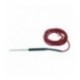 SONDA AL CUORE