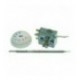 TERMOSTATO TR2 -35+35C