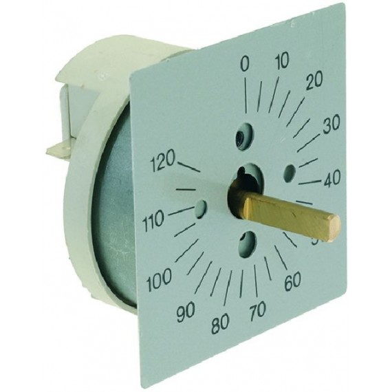 TEMPORIZZATORE 120 MINUTI