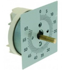 TEMPORIZZATORE 60 MINUTI