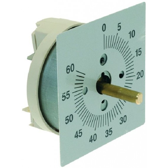 TEMPORIZZATORE 60 MINUTI