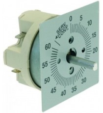 TEMPORIZZATORE 60 MINUTI