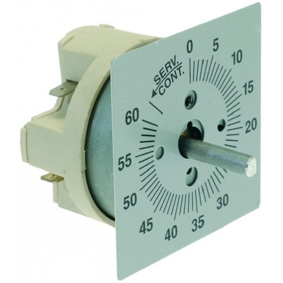 TEMPORIZZATORE 60 MINUTI
