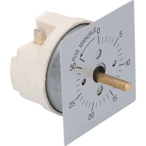 TEMPORIZZATORE 30 MINUTI