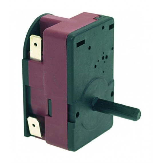 TEMPORIZZATORE 120 MINUTI C20