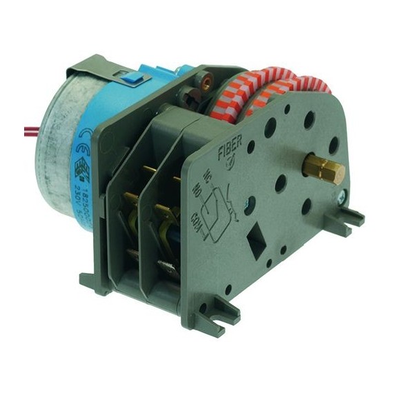 TEMPORIZZATORE P255 2 CAMME 230V 50Hz