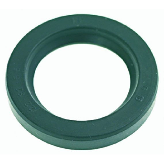 ANELLO DI TENUTA 32x22x5.5 mm
