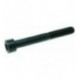VITE A TESTA CILINDRICA M10x80
