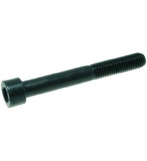 VITE A TESTA CILINDRICA M10x80