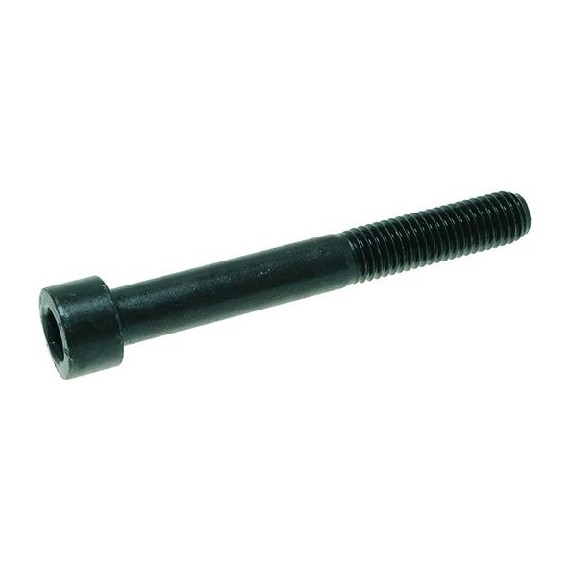 VITE A TESTA CILINDRICA M10x80