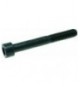 VITE A TESTA CILINDRICA M10x80