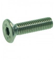 VITE A TESTA SVASATA PIANA M5x20