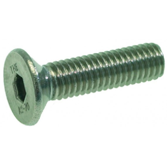 VITE A TESTA SVASATA PIANA M5x20