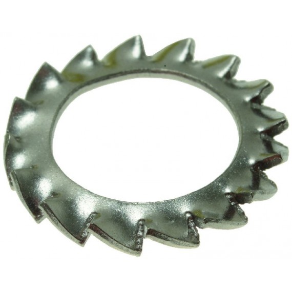 RONDELLA DENTELLATA ESTERNA M14