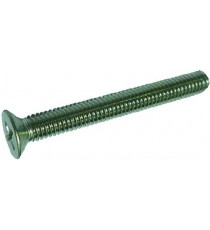 VITE A TESTA SVASATA PIANA M6x50