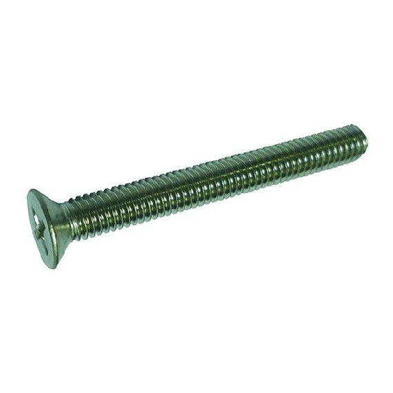VITE A TESTA SVASATA PIANA M6x50