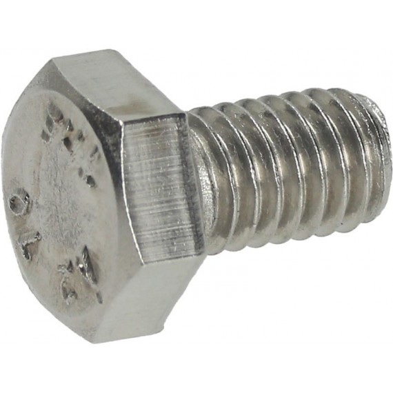 VITE A TESTA ESAGONALE M6x10