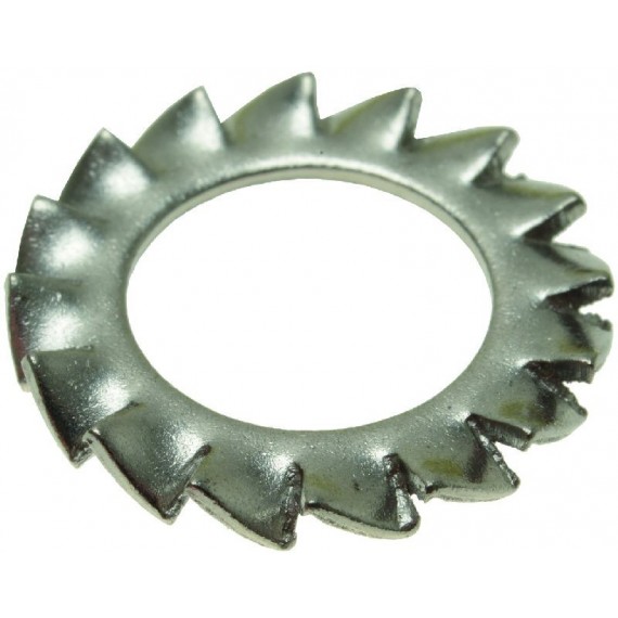 RONDELLA DENTELLATA ESTERNA M10