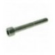 VITE A TESTA CILINDRICA M10x80