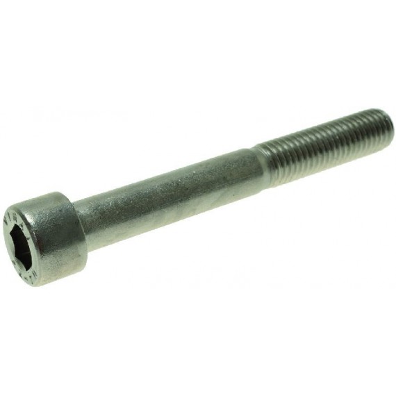 VITE A TESTA CILINDRICA M10x80