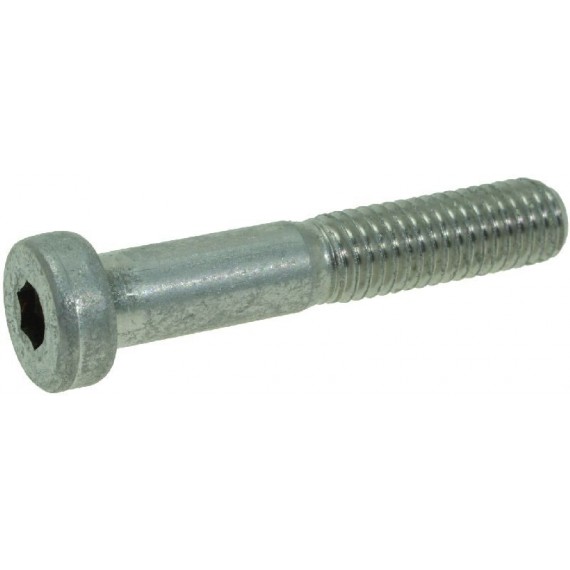 VITE A TESTA CILINDRICA BASSA M8x45