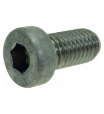 VITE A TESTA CILINDRICA BASSA M10x20