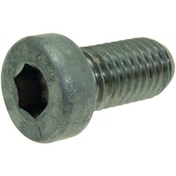 VITE A TESTA CILINDRICA BASSA M10x20