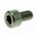 VITE A TESTA CILINDRICA M5x8