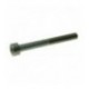 VITE A TESTA CILINDRICA M5x45