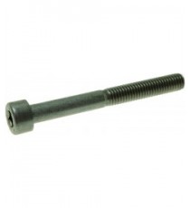 VITE A TESTA CILINDRICA M5x45