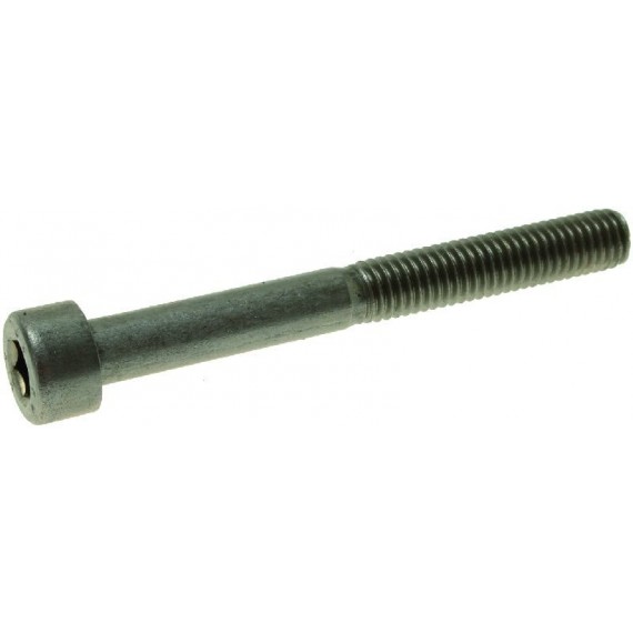 VITE A TESTA CILINDRICA M5x45