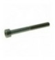 VITE A TESTA CILINDRICA M5x45