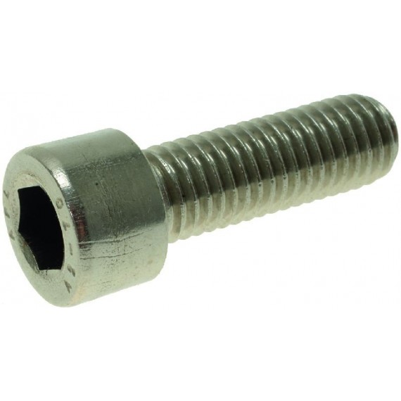 VITE A TESTA CILINDRICA M10x30