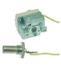 TERMOSTATO MONOFASE 60C