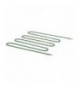 RESISTENZA 2000W 220V