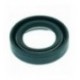 ANELLO DI TENUTA 15x25x6,34 mm